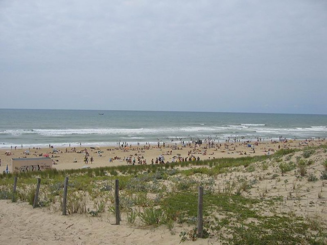IMG 0776
