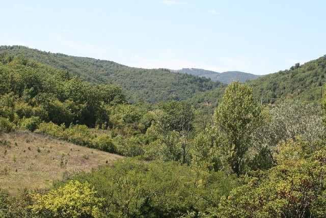 IMG 0844