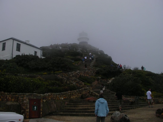 Image0082